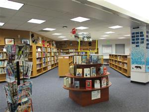 Our Library  